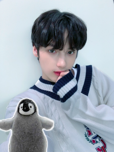 penguim-huening Idols Sendo Comparados a Animais? Você Não Vai Acreditar No Que Disseram!