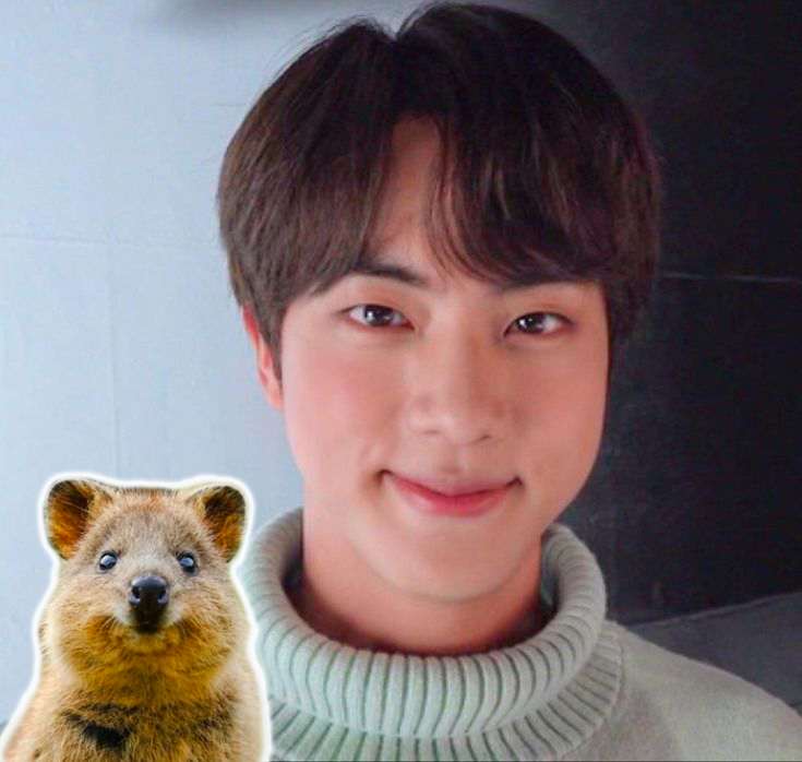 quokka-jin Idols Sendo Comparados a Animais? Você Não Vai Acreditar No Que Disseram!